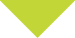 triangle vert